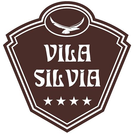 Vila Silvia Sovata Ngoại thất bức ảnh
