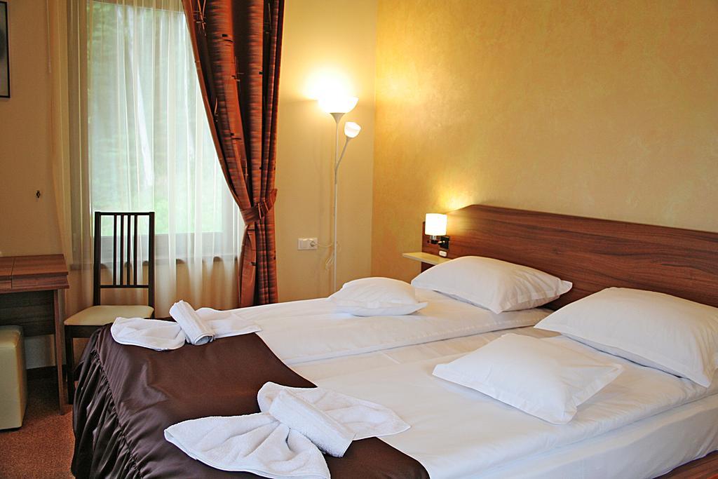 Vila Silvia Sovata Phòng bức ảnh