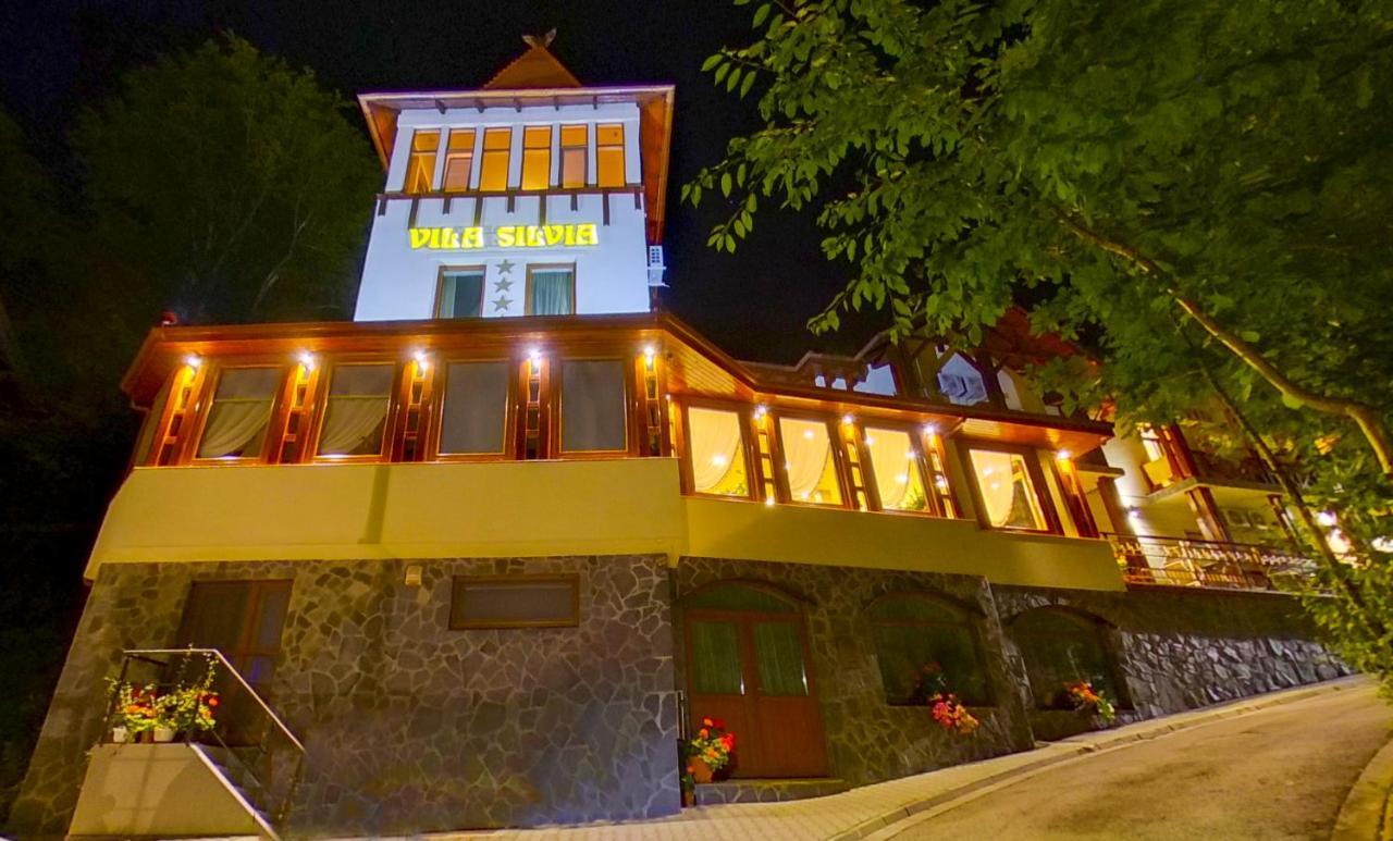 Vila Silvia Sovata Ngoại thất bức ảnh