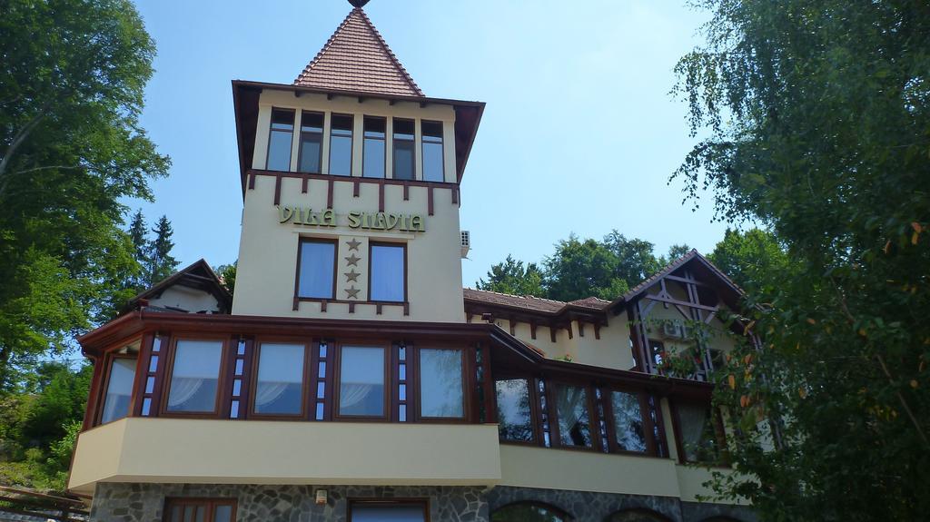 Vila Silvia Sovata Ngoại thất bức ảnh