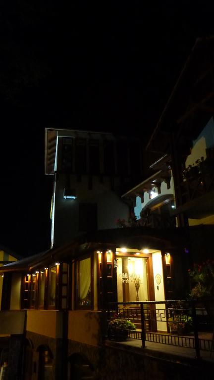 Vila Silvia Sovata Ngoại thất bức ảnh