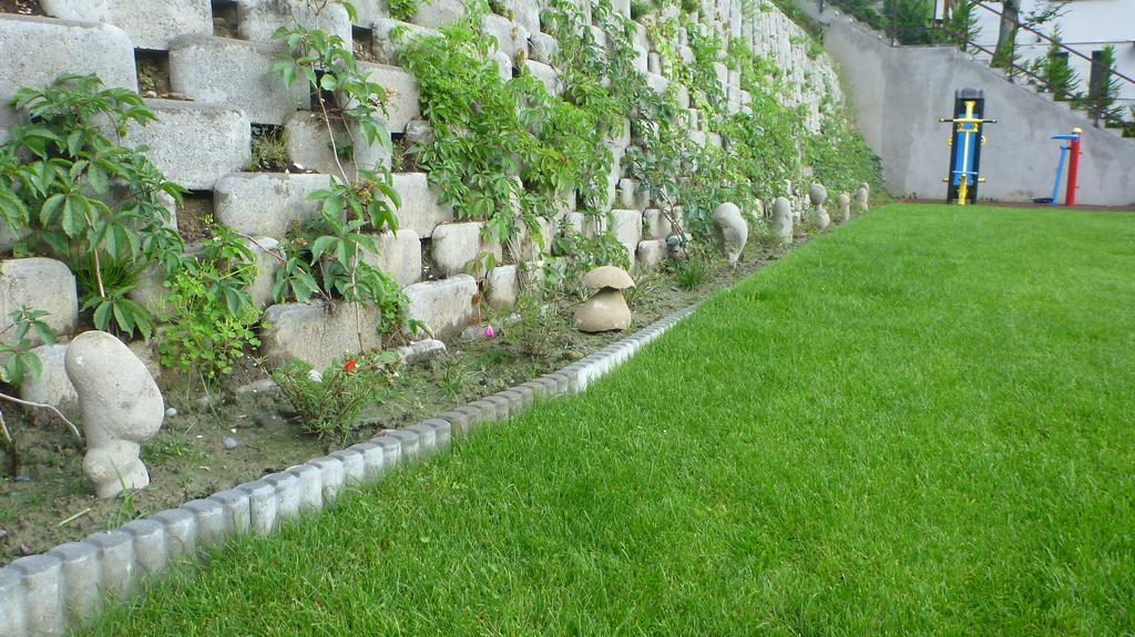 Vila Silvia Sovata Ngoại thất bức ảnh