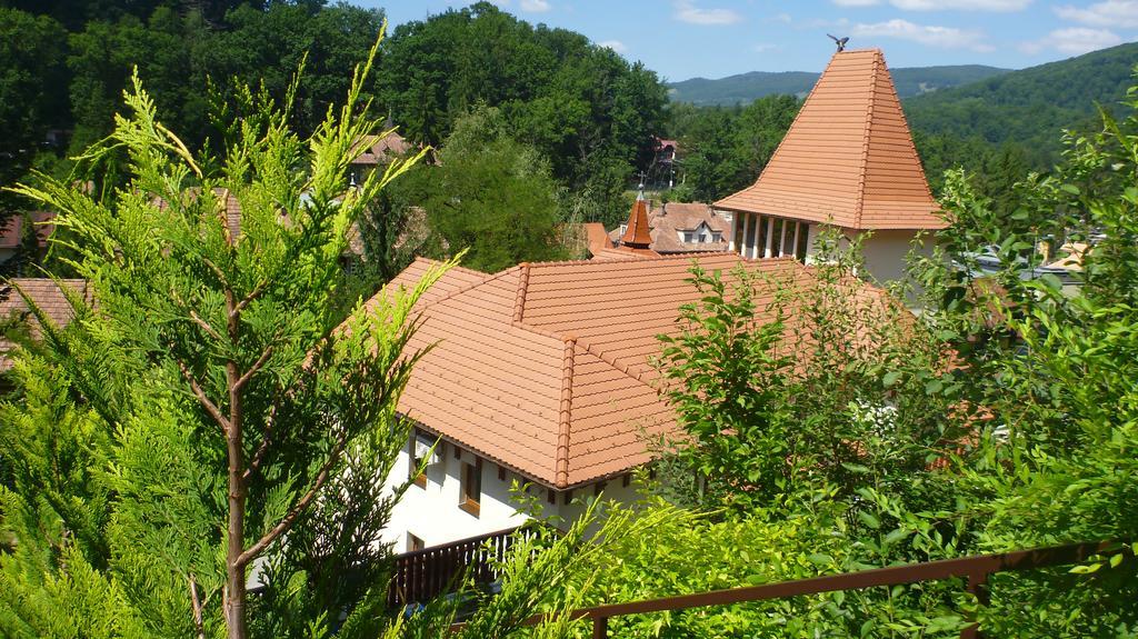 Vila Silvia Sovata Ngoại thất bức ảnh