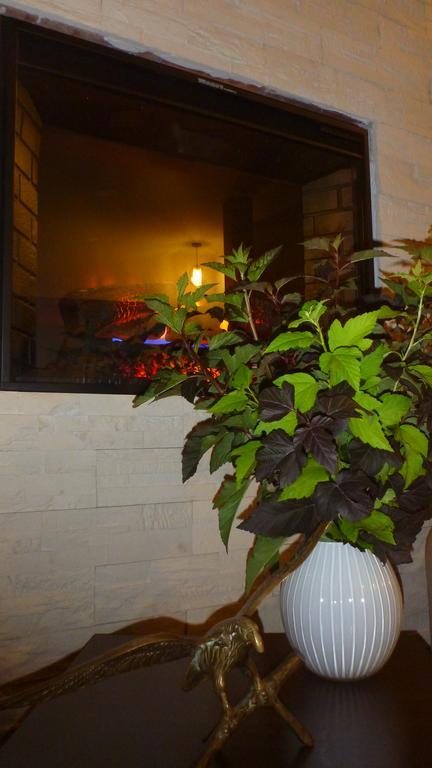 Vila Silvia Sovata Ngoại thất bức ảnh