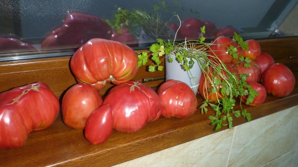 Vila Silvia Sovata Ngoại thất bức ảnh